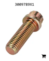 AGCO 3009789X1 Винт с 12-гранной фланцевой головкой