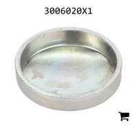 AGCO 3006020X1 Заглушка