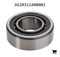 AGCO X620311400001 Цилиндрический роликовый подшипник