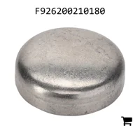 AGCO F926200210180 Крышка