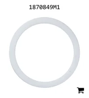 AGCO 1870849M1 Шайба