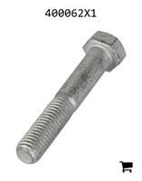 AGCO 400062X1 Болт с шестигранной головкой