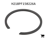 AGCO H218PF150226A Стопорная шайба