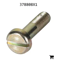 AGCO 378808X1 Винт