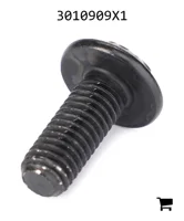 AGCO 3010909X1 Винт с цилиндрической головкой