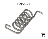AGCO PZPZ171 Пружина