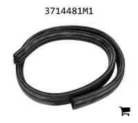 AGCO 3714481M1 Прокладка