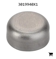 AGCO 3019940X1 Заглушка