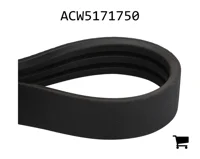 AGCO ACW5171750 Ремень привода битера