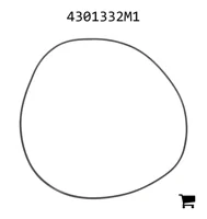 AGCO 4301332M1 Уплотнение бортовой передачи