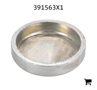 AGCO 391563X1 Заглушка