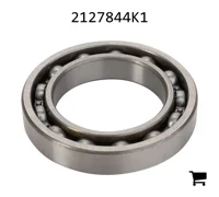 AGCO 2127844K1 Шариковый подшипник