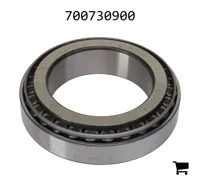 AGCO 700730900 Комплект подшипников