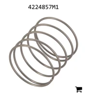 AGCO 4224857M1 Пружина