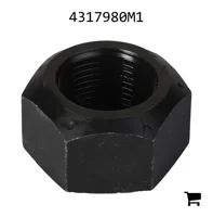 AGCO 4317980M1 Стопорная гайка