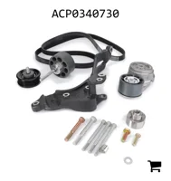 AGCO ACP0340730 Комплект натяжителя