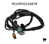 AGCO M219PH2526070 Жгут проводов