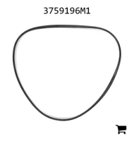 AGCO 3759196M1 Уплотнение корпуса заднего моста