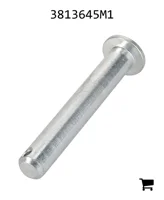 AGCO 3813645M1 Палец вилки