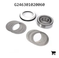 AGCO G246301020060 Палец поворотного кулака