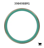 AGCO 3904988M1 Масляный сальник