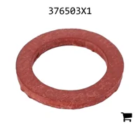 AGCO 376503X1 Шайба