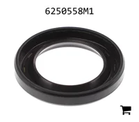 AGCO 6250558M1 Уплотнение