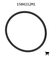 AGCO 1504212M1 Уплотнительное кольцо