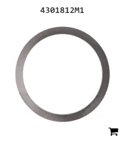 AGCO 4301812M1 Шайба