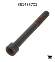 AGCO 3014337X1 Винт с цилиндрической головкой и шестигранным углублением
