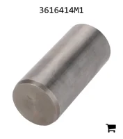 AGCO 3616414M1 Поршень