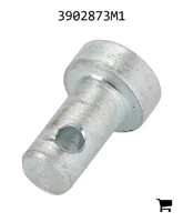 AGCO 3902873M1 Палец вилки