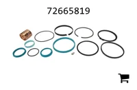 AGCO 72665819 Комплект уплотнений