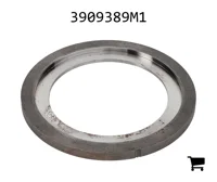 AGCO 3909389M1 Опорное кольцо