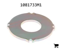 AGCO 1081733M1 Прижимная пластина