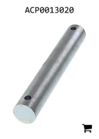 AGCO ACP0013020 Палец поворотного механизма