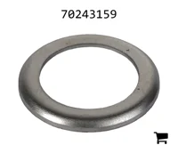 AGCO 70243159 Шайба