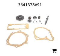 AGCO 3641378V91 Ремонтный комплект водяного насоса