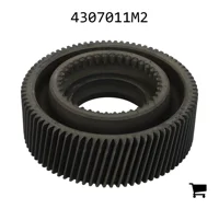 AGCO 4307011M2 Шестерня