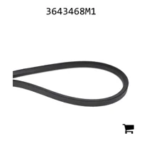 AGCO 3643468M1 Кевларовый клиновый ремень