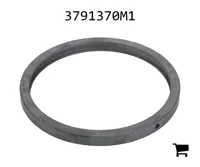 AGCO 3791370M1 Регулировочная шайба