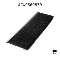 AGCO ACW9509830 Полоса