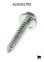 AGCO 4292617M1 Саморез