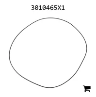 AGCO 3010465X1 Уплотнительное кольцо