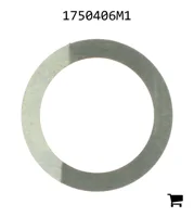 AGCO 1750406M1 Шайба