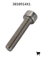 AGCO 3010914X1 Винт с цилиндрической головкой и шестигранным углублением