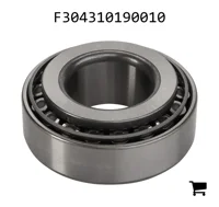AGCO F304310190010 Конический подшипник