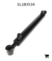 AGCO SL103534 Гидроцилиндр