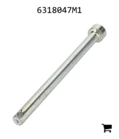 AGCO 6318047M1 Палец