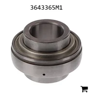 AGCO 3643365M1 Опора